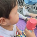 해피데이 | 모윰 원터치 아기 첫빨대컵 해피데이 에디션 270ml 후기