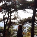 레드페이스수원