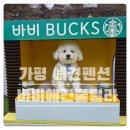 바비애견풀빌라 | 솜사탕이 떠나는 가평애견동반펜션 바비애견풀빌라