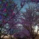 용암1리 경로당 이미지