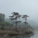 김천부항댐산내들오토캠핑장 이미지