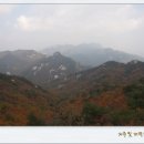이화카프랜드 Daum카페