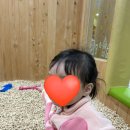 환경성질환 예방관리센터(비자림) | 비자림숲힐링센터 방문 후기｜아랑이놀이터