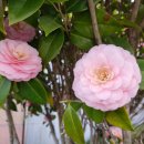 여수소호동우체국 이미지