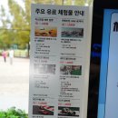 코리아세븐 대전 북유성대로점 | 클래식카 시승체험이 가능해진 삼성화재 모빌리티뮤지엄의 새로운 모습 (개관 500만 돌파 기념 재방문...