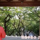 새당감시장 이미지