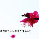 주 안에있는 나의 평안(빌4:4~7) 이미지