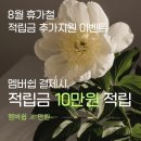 오월에스테틱 네이버블로그