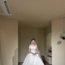 초이스샵 | 광주 드레스 초이스 브라이덜 헤미쉬 드레스샵(&amp;추가금) 제 픽은?