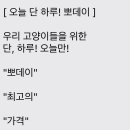 뽀데이 이미지