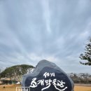 신안 자은도 가볼만한곳 1004뮤지엄파크 세계조개박물관