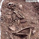 사랑의 묘약 이미지