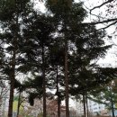 서둔동 14-25 이미지