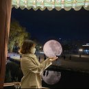 [남원 여행] 광한루 :: 광주 근교 남원 가볼만한 곳(낮과 밤 다녀온 후기)