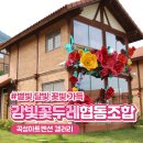 곡성 강빛마을 강빛꽃두레협동조합 별빛 달빛 꽃빛으로 가득!