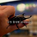 수암농장1 이미지