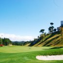 에덴골프 이미지