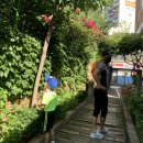 홍제초교(병설)유치원 이미지
