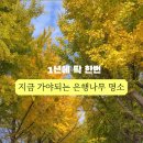 (주)행복은행나무 이미지