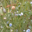 오남2리 이미지