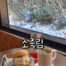 댑첨단 | 광주대형카페 소죽림｜대나무숲 감성·인생샷·애견동반까지