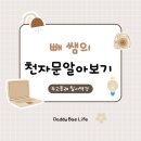 천자문 기초한자 | 아빠가 알려주는 천자문 공부, 두고종례 칠서벽경 (杜藳鍾隷 漆書壁經), 화마 속에서 버틴 유교 사상