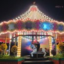 읍시가지 | 함평 겨울빛축제 2025 전남 겨울축제 아이랑 가볼만한곳