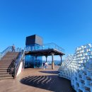 청풍호 감 이미지