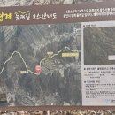 정배산 티스토리