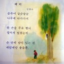 김양수「매미」 이미지