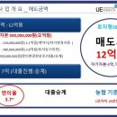 대안태양광발전소 이미지