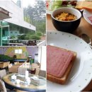 펜션숲속의궁전1 이미지