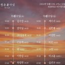 2024 청춘폴나잇 후기 물품보관함 돗자리존 먹거리가격 (꿀팁가득🍯)