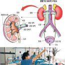사단법인 한국산재장애인복지 진흥회