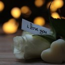 북안초등학교 이미지