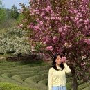 남순재 이미지