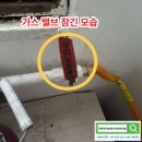 정일하이츠빌라 네이버블로그