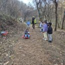 비봉초교 병설유치원 이미지