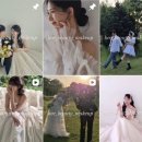 엘블레스헤어살롱 | 웨딩촬영 헤어변형 가성비 업체 8곳 비교 추천 | 최종 계약 후기