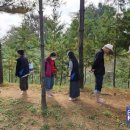 개웅산 유아숲체험원 이미지