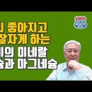 칼슘 마그네슘 아연 비타민D3...몸이 보내는 마그네슘 결핍 신호 10가지 이미지