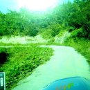 신안수공인중개사사무소 이미지