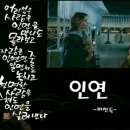 안동식육식당 이미지