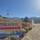 진도군 보배섬 문화예술제 | [전남 진도]진도개 공연이 있는 2025년 보배섬 국화축제 현장