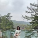 바인블루 네이버블로그