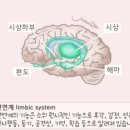 아미타불의 극락정토 3 이미지