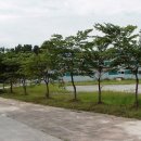 여주-1130 이미지