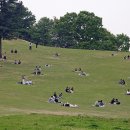 잔디밭
