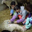 미나농장 이미지