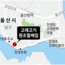 장생포고래고기원조할매집 이미지